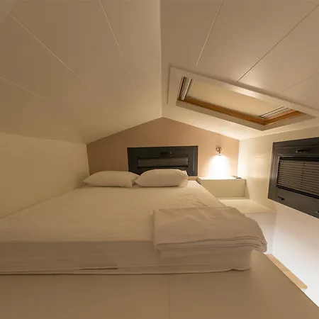 Efe Tiny House Kamp alanı