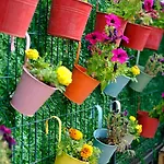Parque de Campismo Efe Tiny House Serik